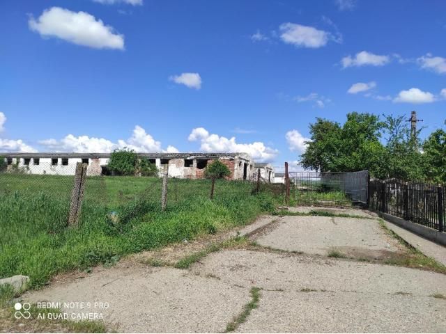 Proprietate imobiliară cu teren și construcții — imagine 3