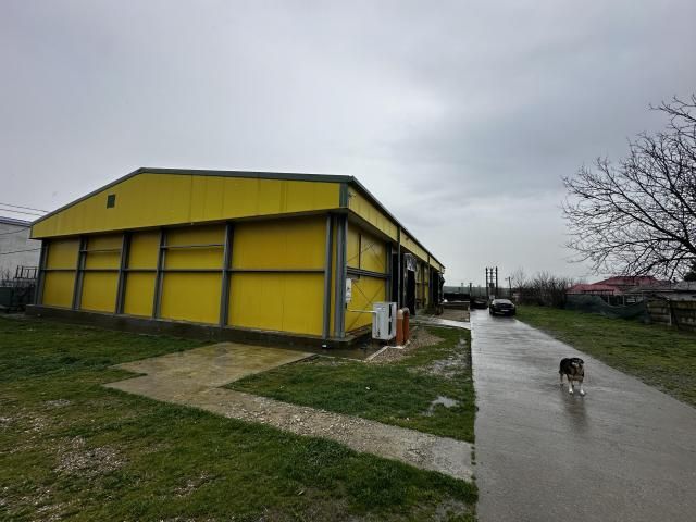 Ansamblu independent - proprietate imobiliara industriala — imagine 6