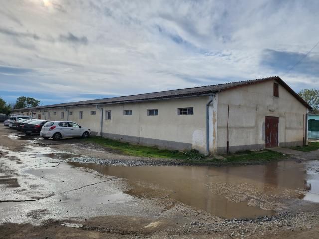 Hala industriala si casa parter — imagine 4