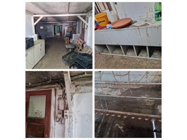 Lot de 19 mașini și utilaje pentru industria alimentară — imagine 9