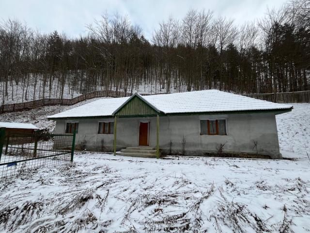 Cabana cu teren 2.430 mp — imagine 4