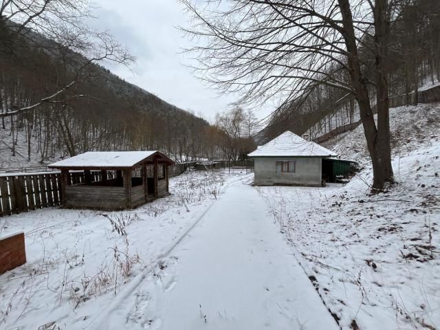 Cabana cu teren 2.430 mp — imagine 6