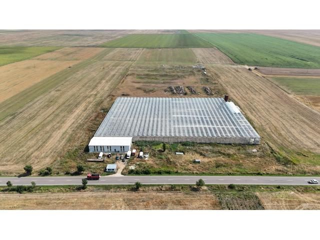 Proprietate agroindustrială cu seră legumicolă — imagine 4