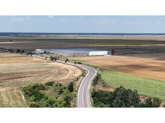 Proprietate agroindustrială cu seră legumicolă — imagine 2