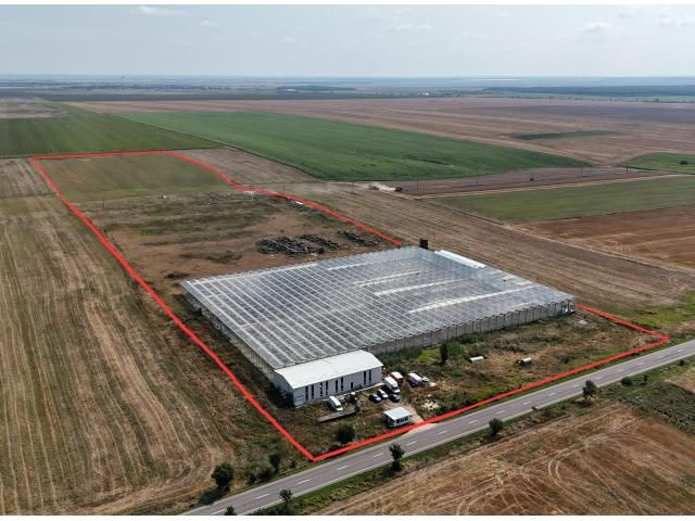 Proprietate agroindustrială cu seră legumicolă — imagine 3