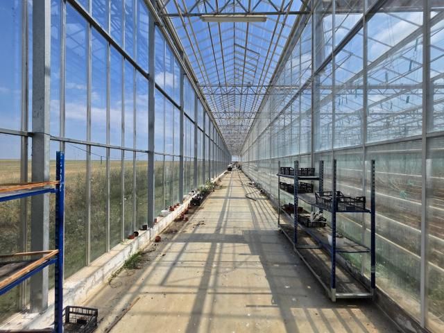 Proprietate agroindustrială cu seră legumicolă — imagine 1