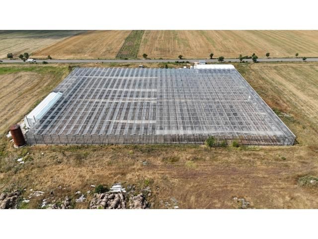 Proprietate agroindustrială cu seră legumicolă — imagine 5