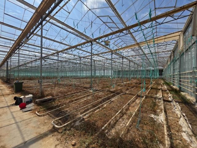Proprietate agroindustrială cu seră legumicolă — imagine 8