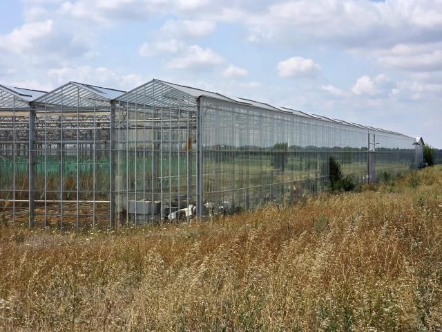 Proprietate agroindustrială cu seră legumicolă — imagine 9